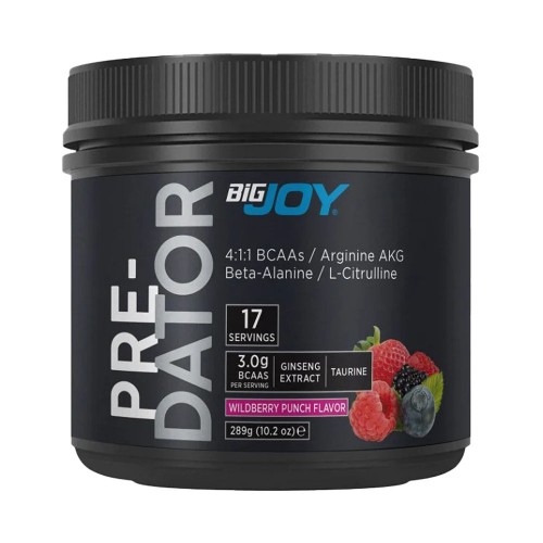 BİG JOY PREDATOR 289 GR
