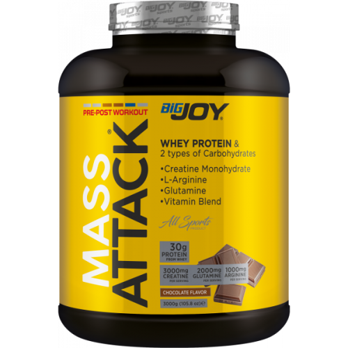 BİG JOY SPORTS MASS ATTACK 3000 GR