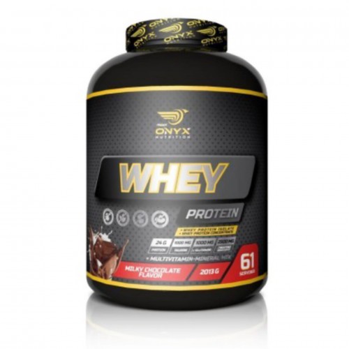 ONYX %100 WHEY 2013 GR